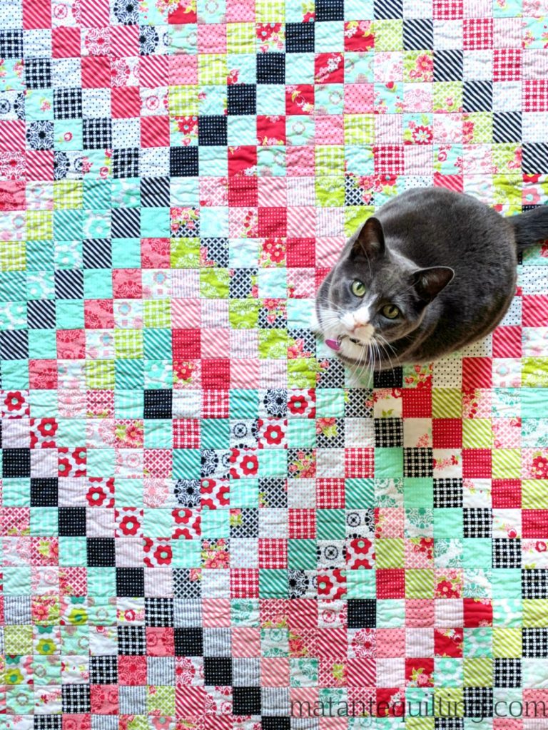 Bonnie & Camille Scrappy Trip Around the World Quilt - Raymond the cat sitting on quilt looking up at camera